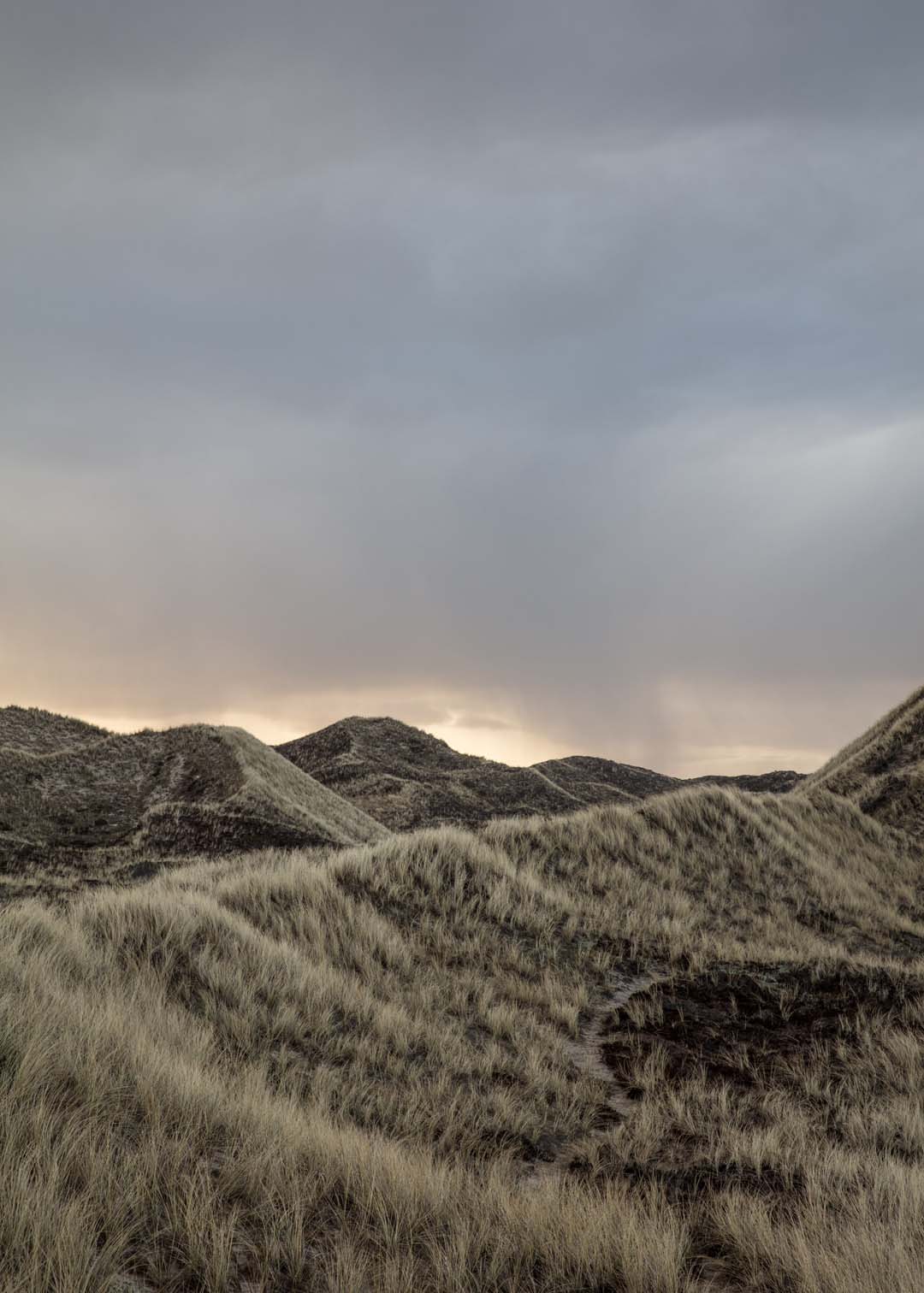 Klitlandskab fotografi med nature ved vestkysten