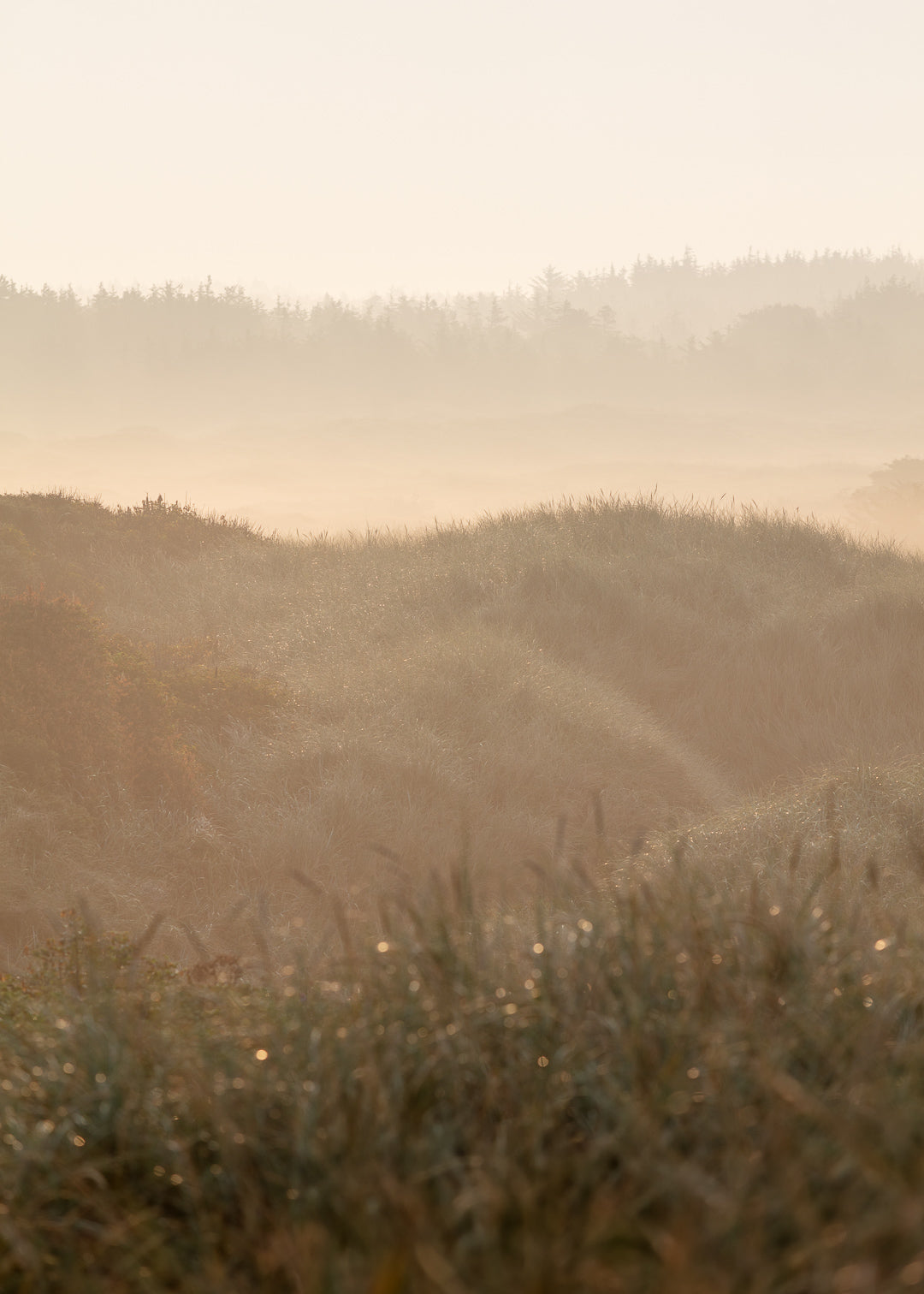 Fotografi af klitter