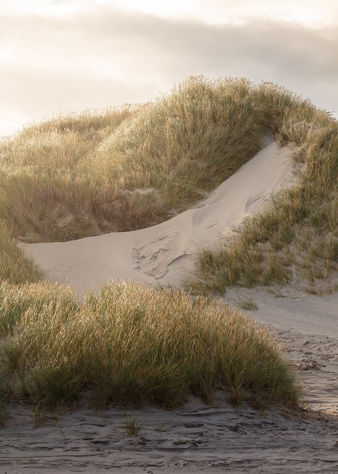 Fotografi af Danmarks vestkyst