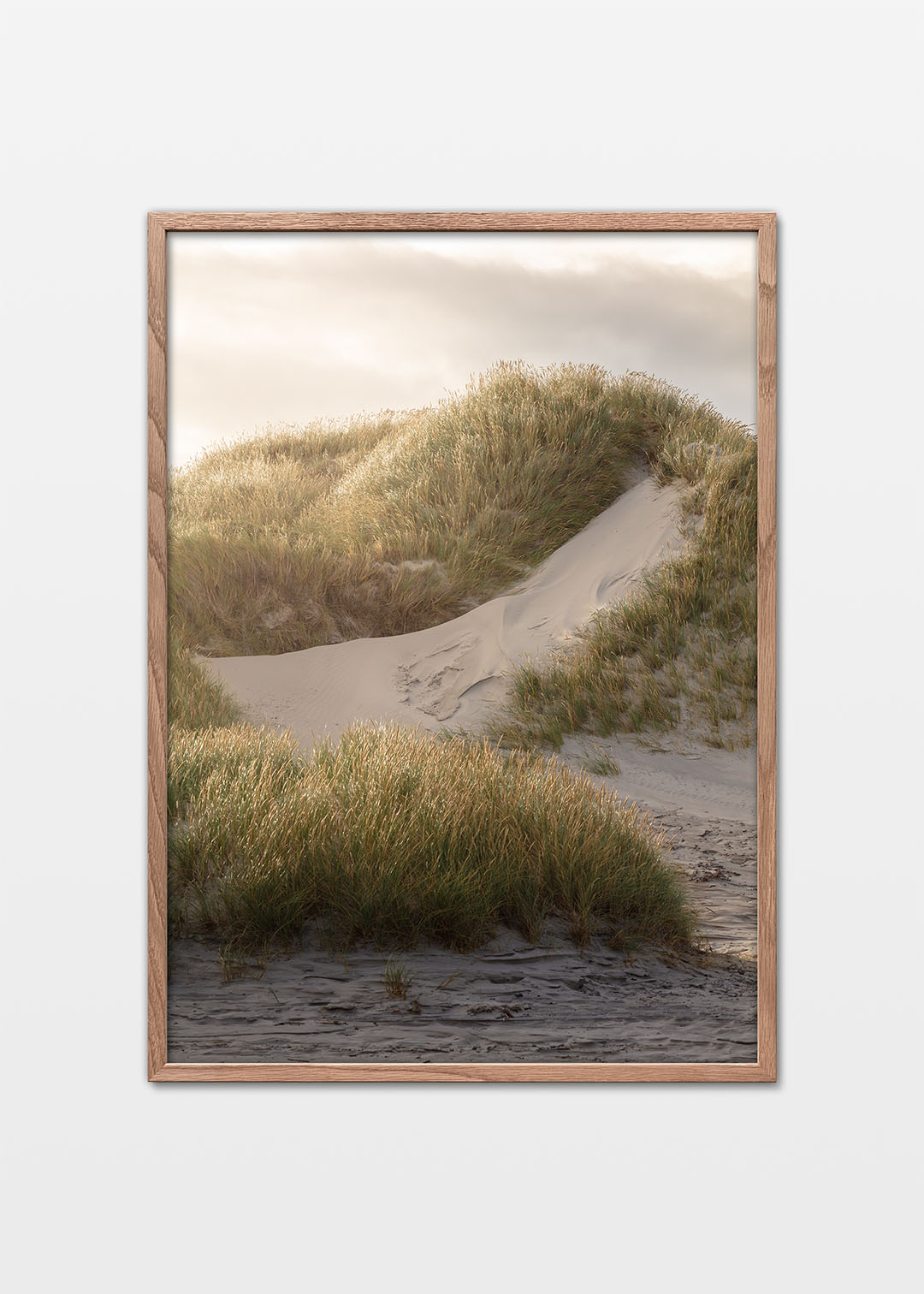 Danmarks vestkyst plakat