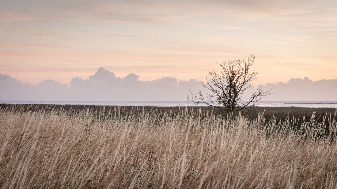 Naturfotografi