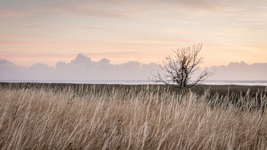 Naturfotografi