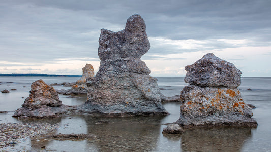 Naturplakater fra Gotlands landskaber - Foto Factory