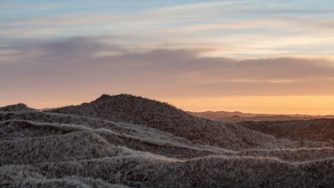 Landskabsfotografi en Guide til