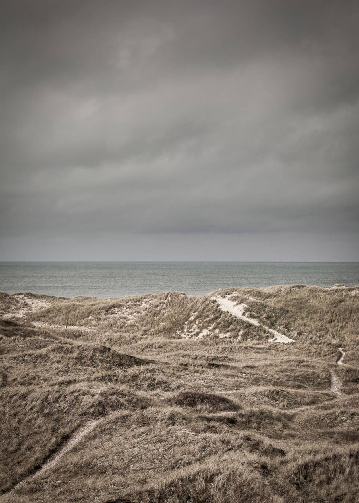 Foto af Skagens klitter med mørke skyer