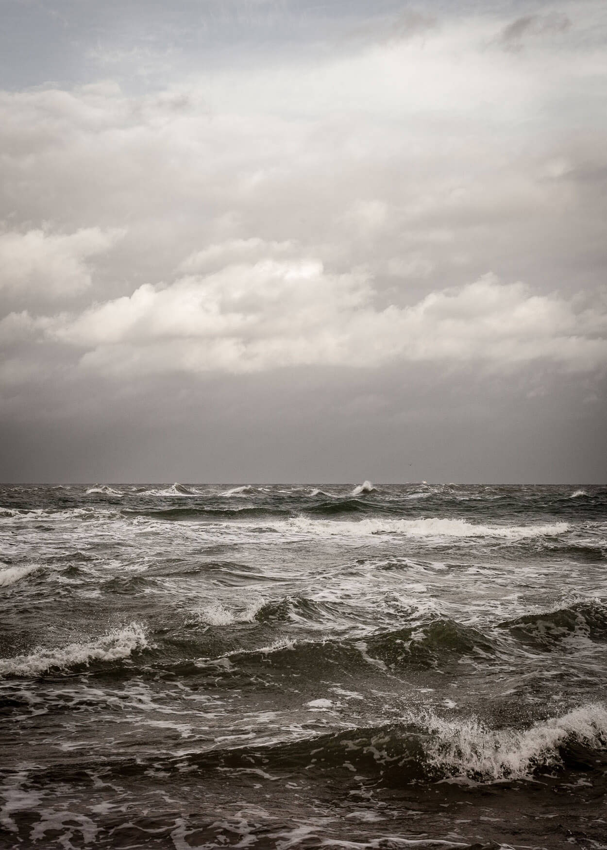 Naturfotografi fra Skagen Danmarks nordligeste punkt