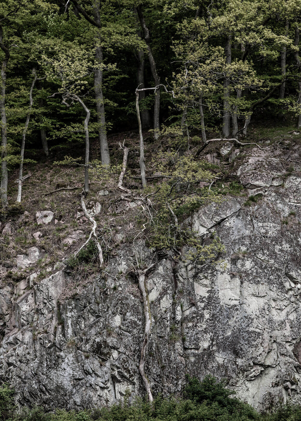 Fotografi af Ekkodalen på Bornholm