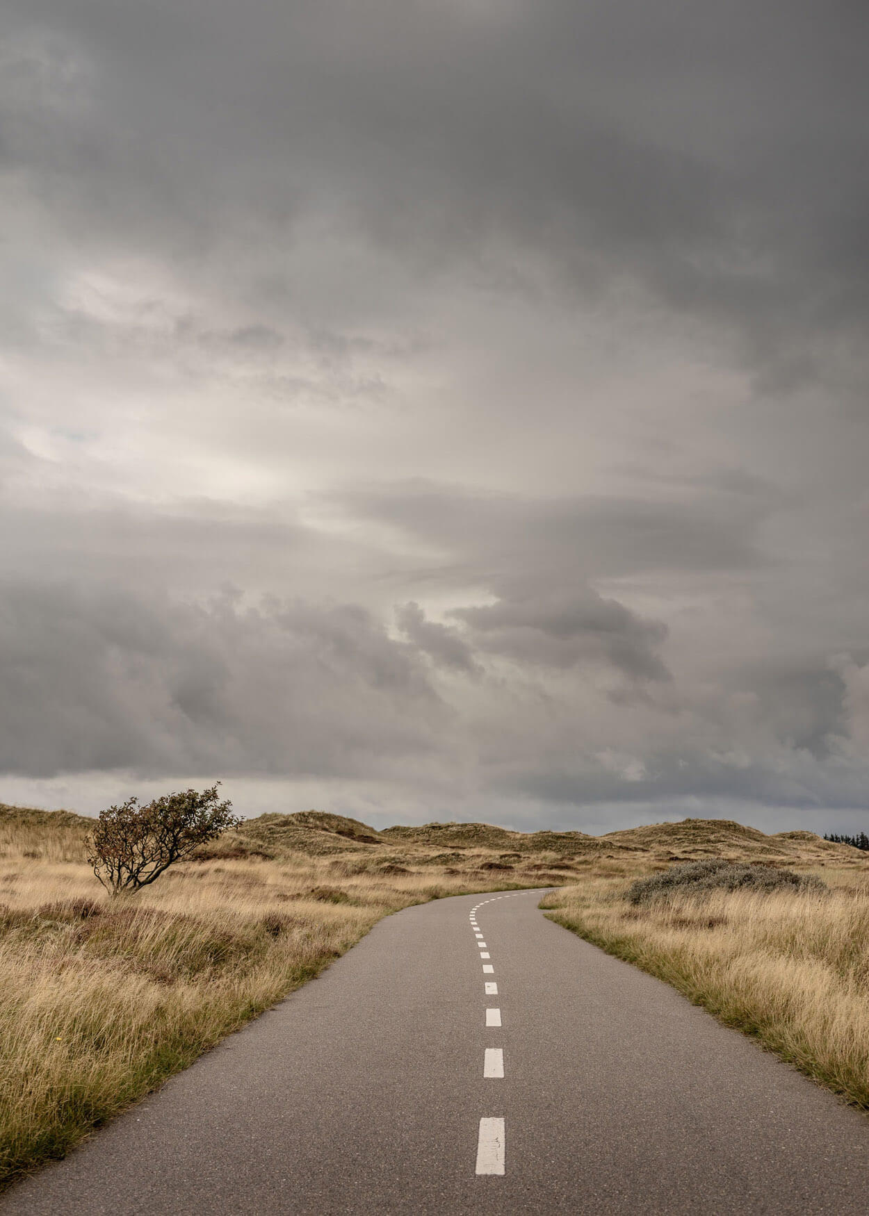 Fotografi af cykelsti på Fanø