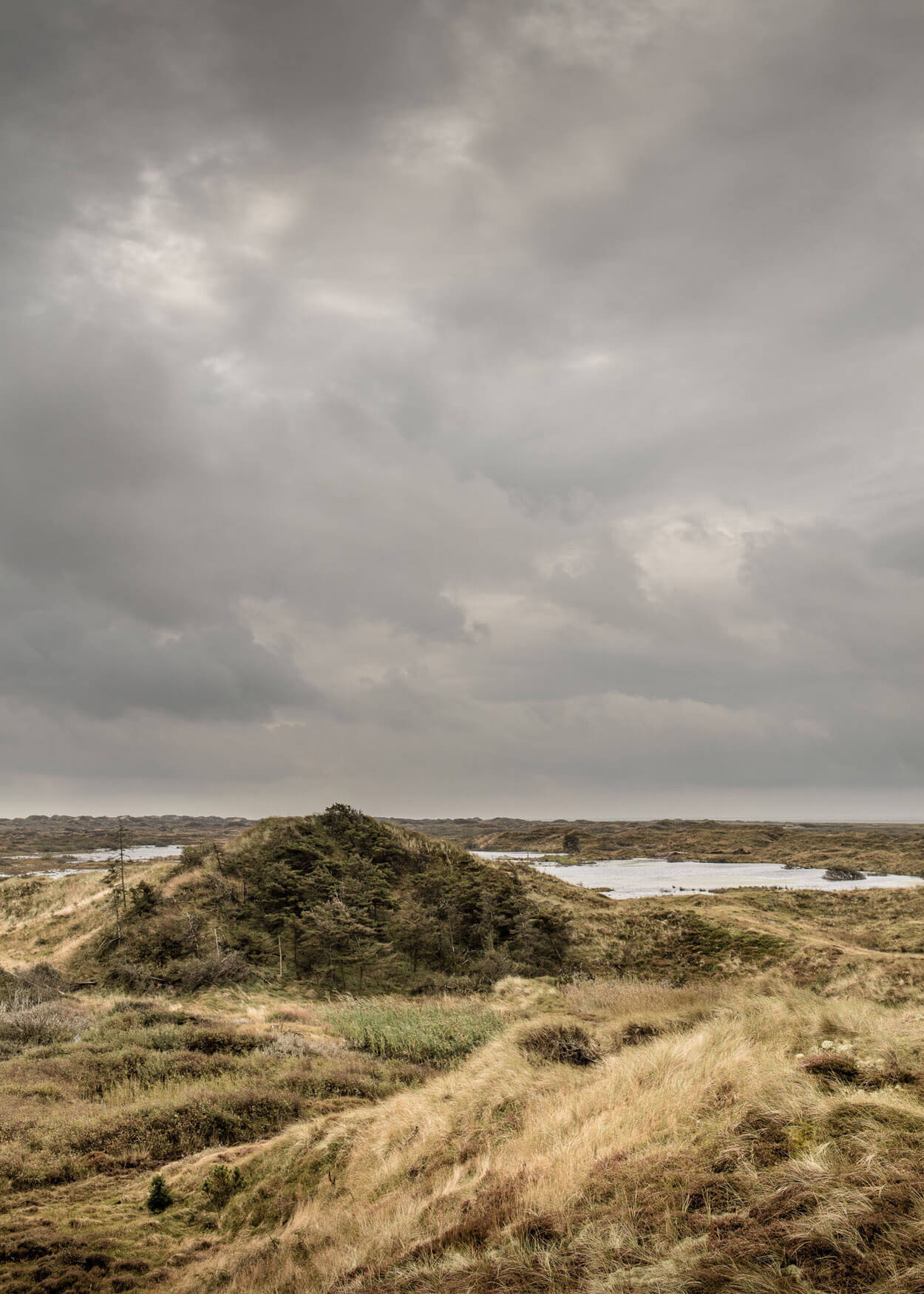 Fotografie af naturen på Fanø