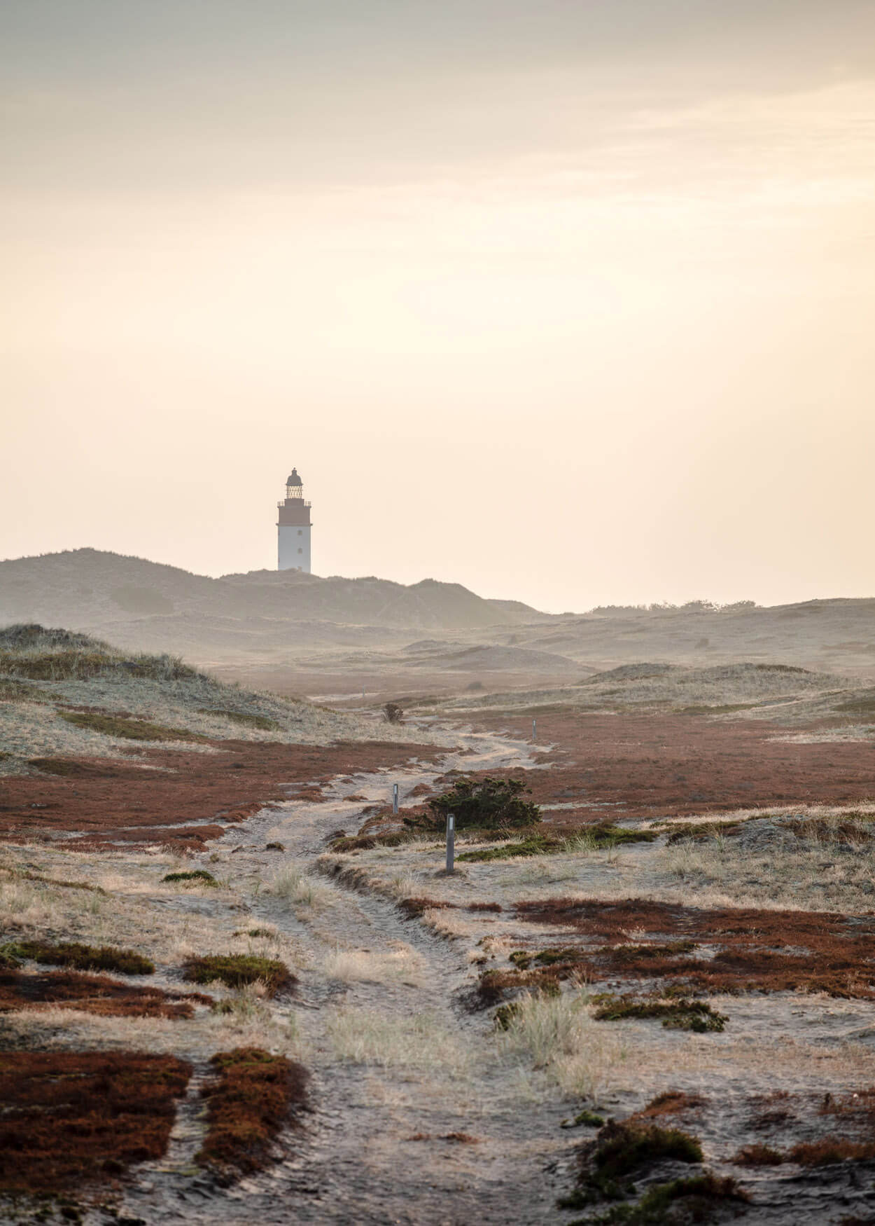 Anholt plakat