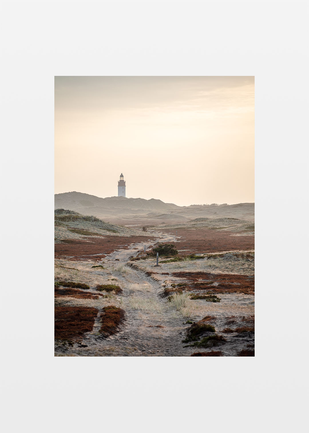 Anholt plakat med fyret