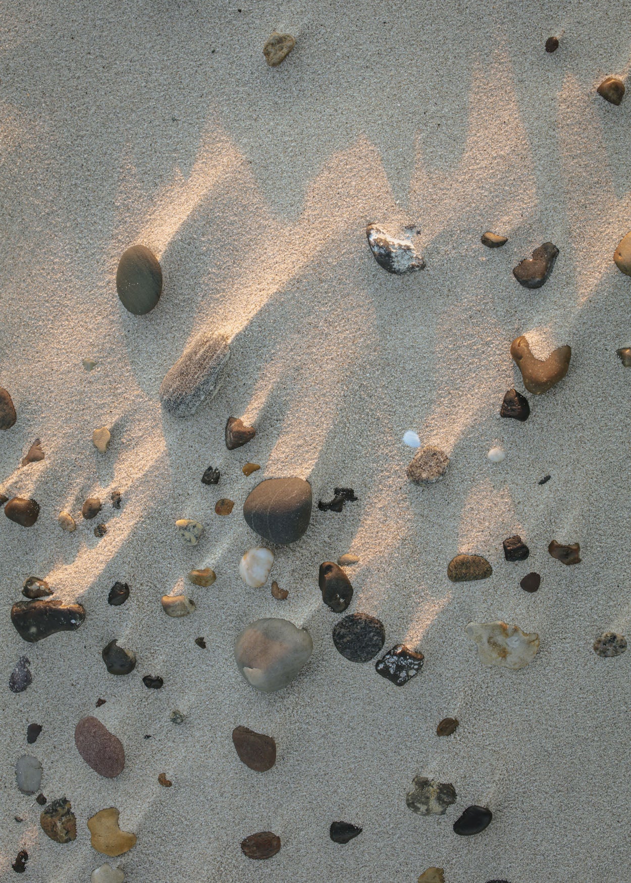 Strandsten plakat natur