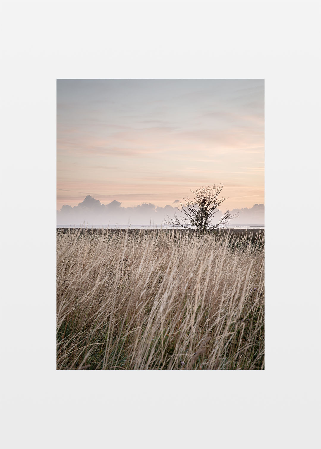 Orø natur plakat