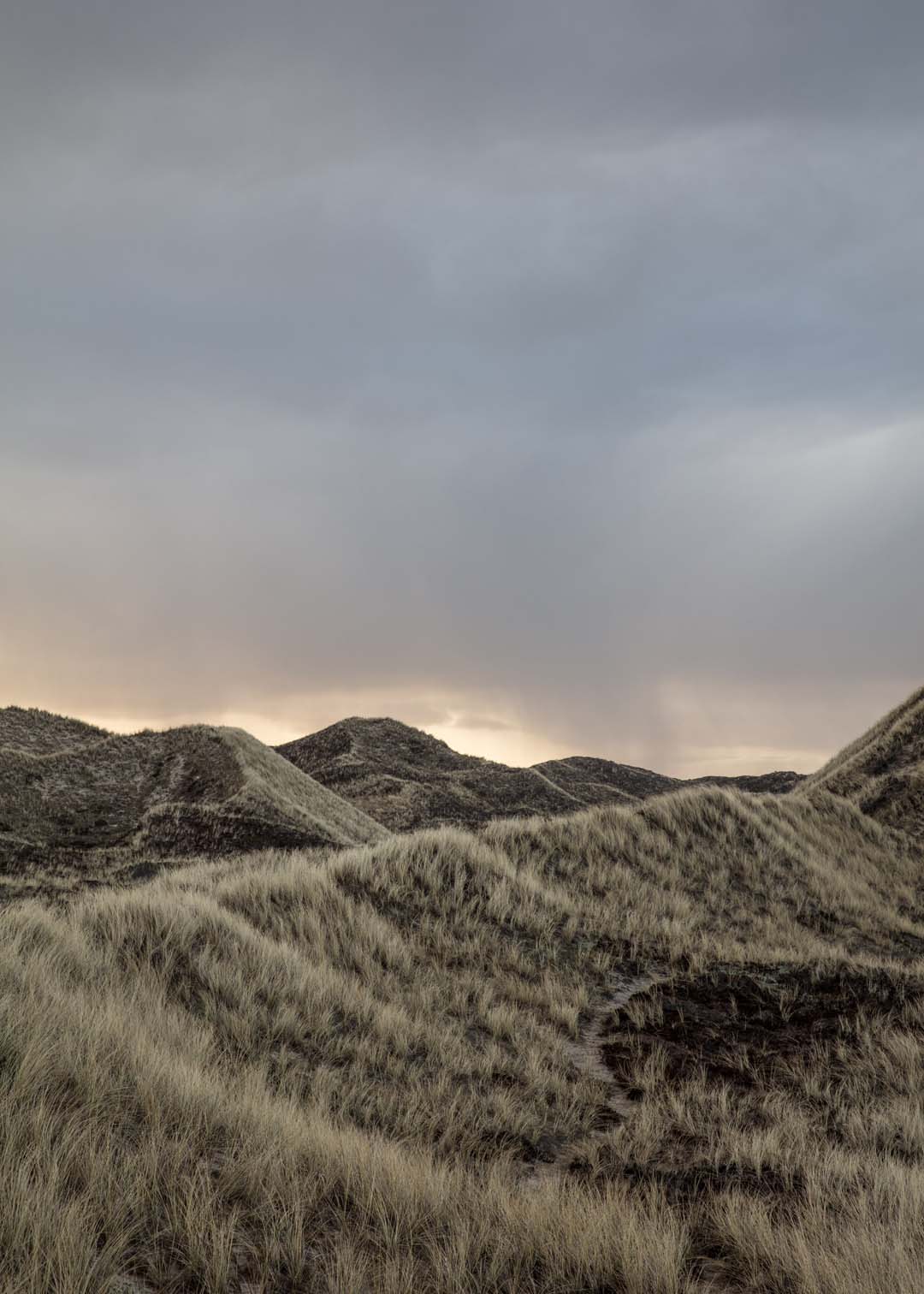 Klitlandskab fotografi med nature ved vestkysten