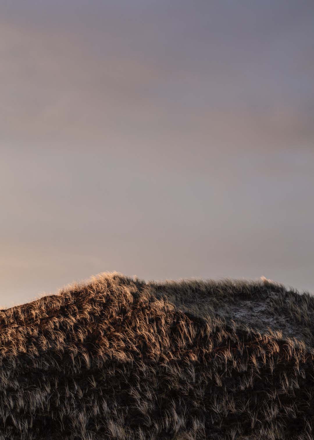 Sandklit fotografi fra Nationalpark Thy - Solnedgang og Mørke Klitter