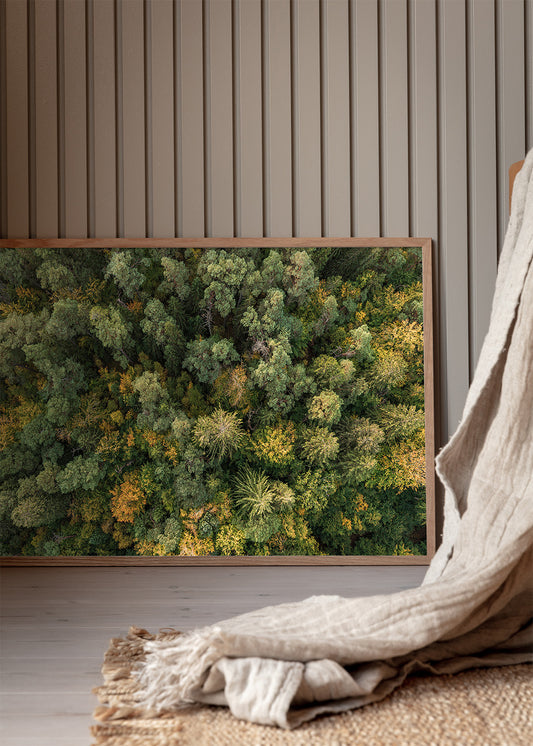 Tisvilde Hegn plakat – Farvespil i trækronerne | Foto Factory