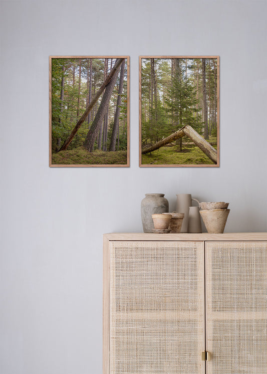 Tisvilde Hegn plakat – Skovens stille hjørne | Foto Factory