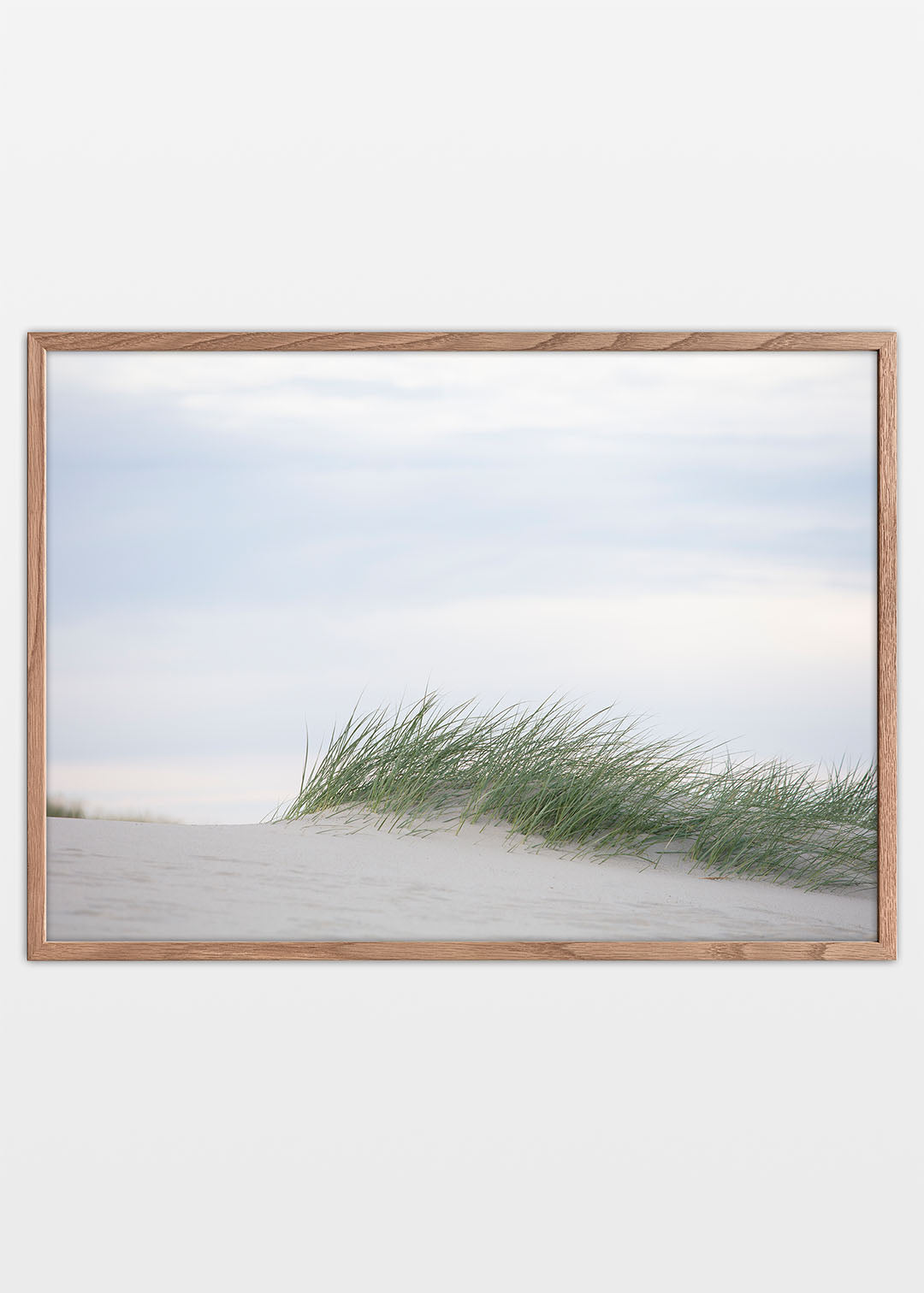 Plakat med Sandhjælme i lyse klitter ved Hvide Sande på den jyske vestkyst