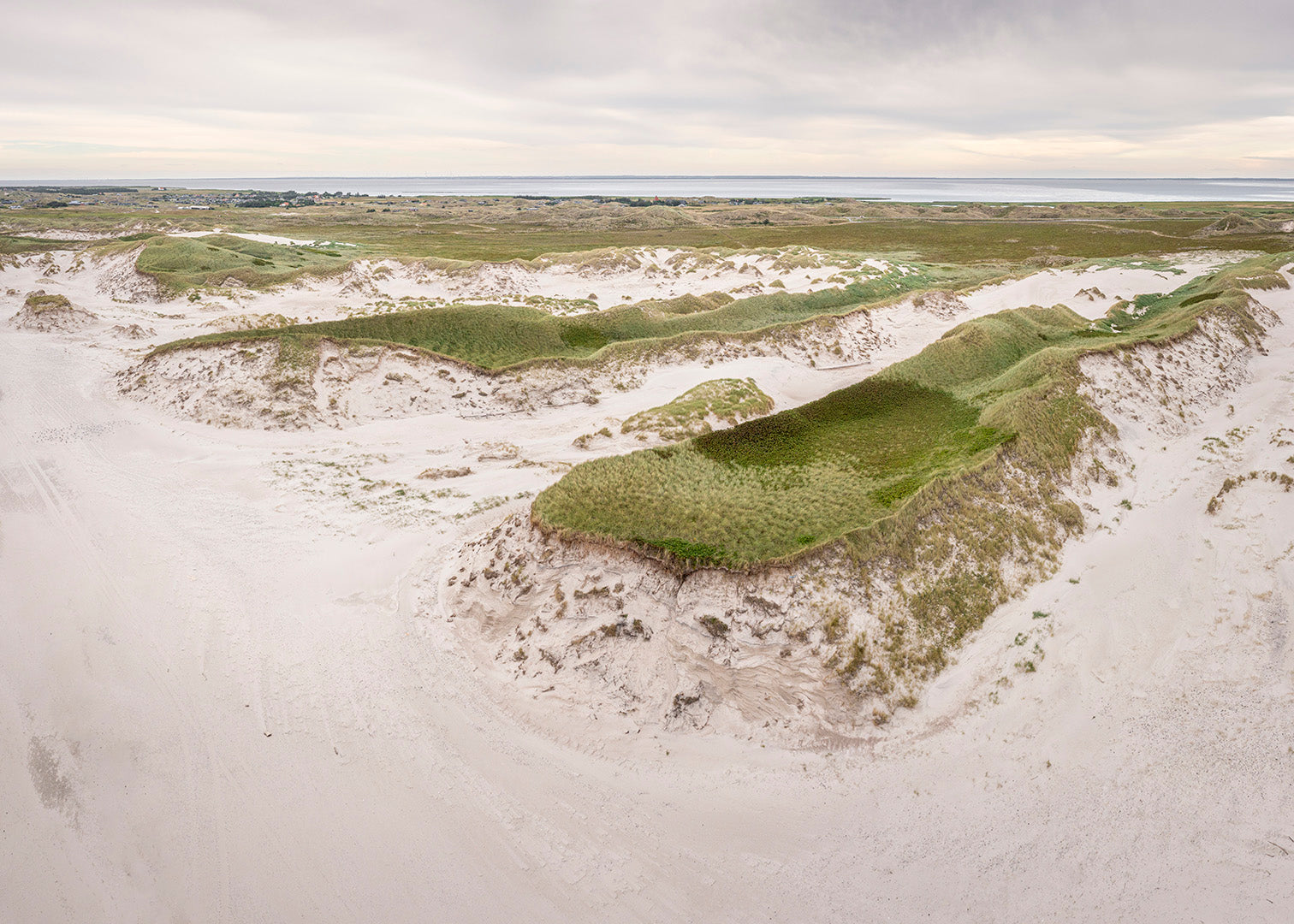 Naturfotografi af grønt klitlandskab ved Hvide Sande på den jyske vestkyst