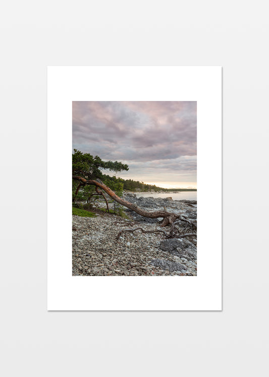Fotografisk plakat af kystlandskab nord for Ljugarn, Gotland, Sverige – Foto Factory