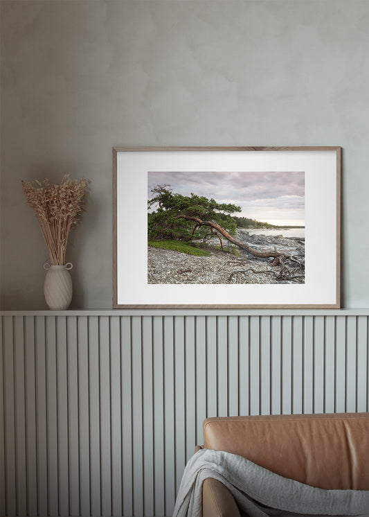 Fotografisk plakat af kystlandskab nord for Ljugarn i vandret format, Gotland, Sverige – Foto Factory