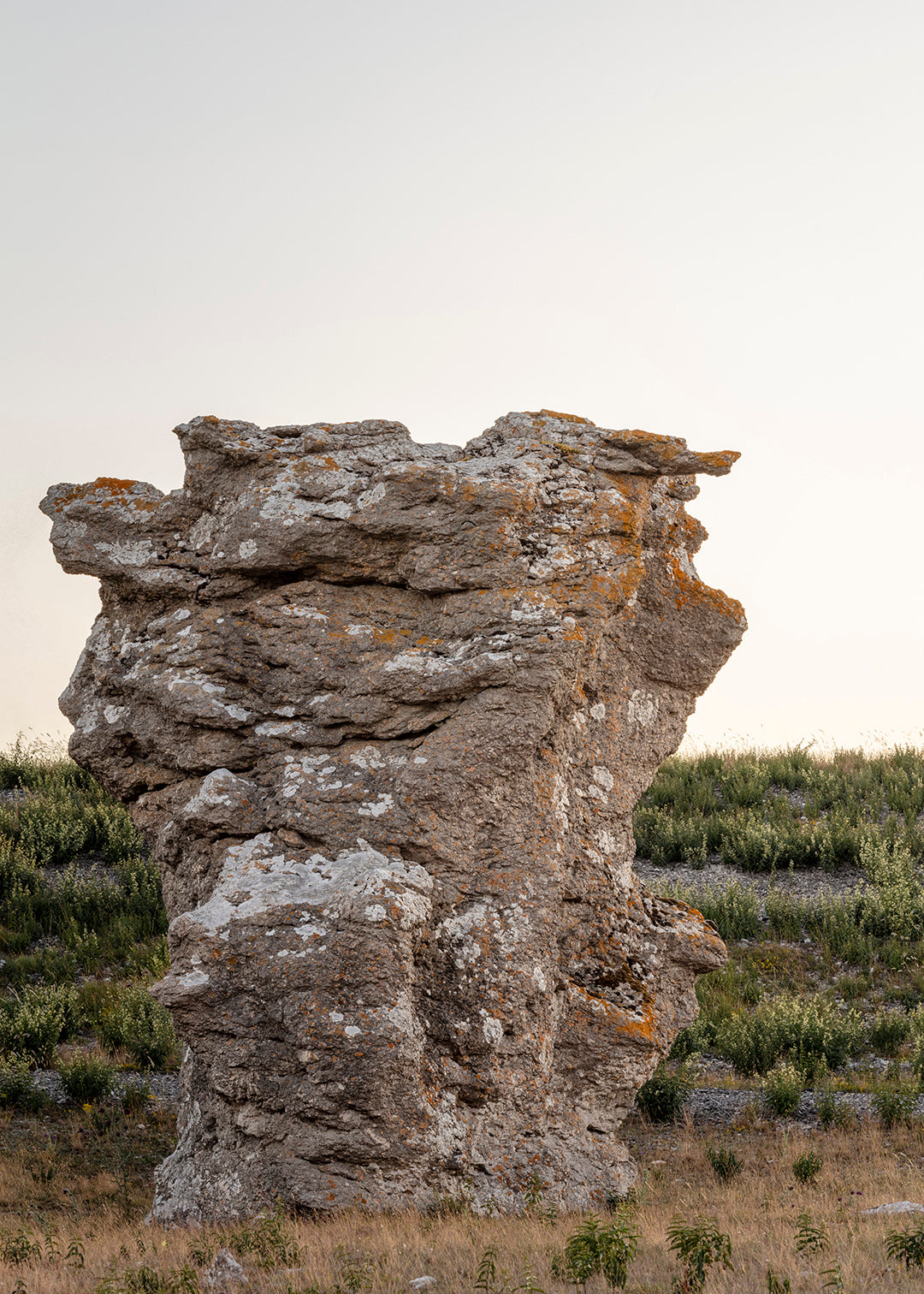 Rauk i varmt aftenlys i Asunden Naturreservat på Gotland. Fotograf Martin Bay.
