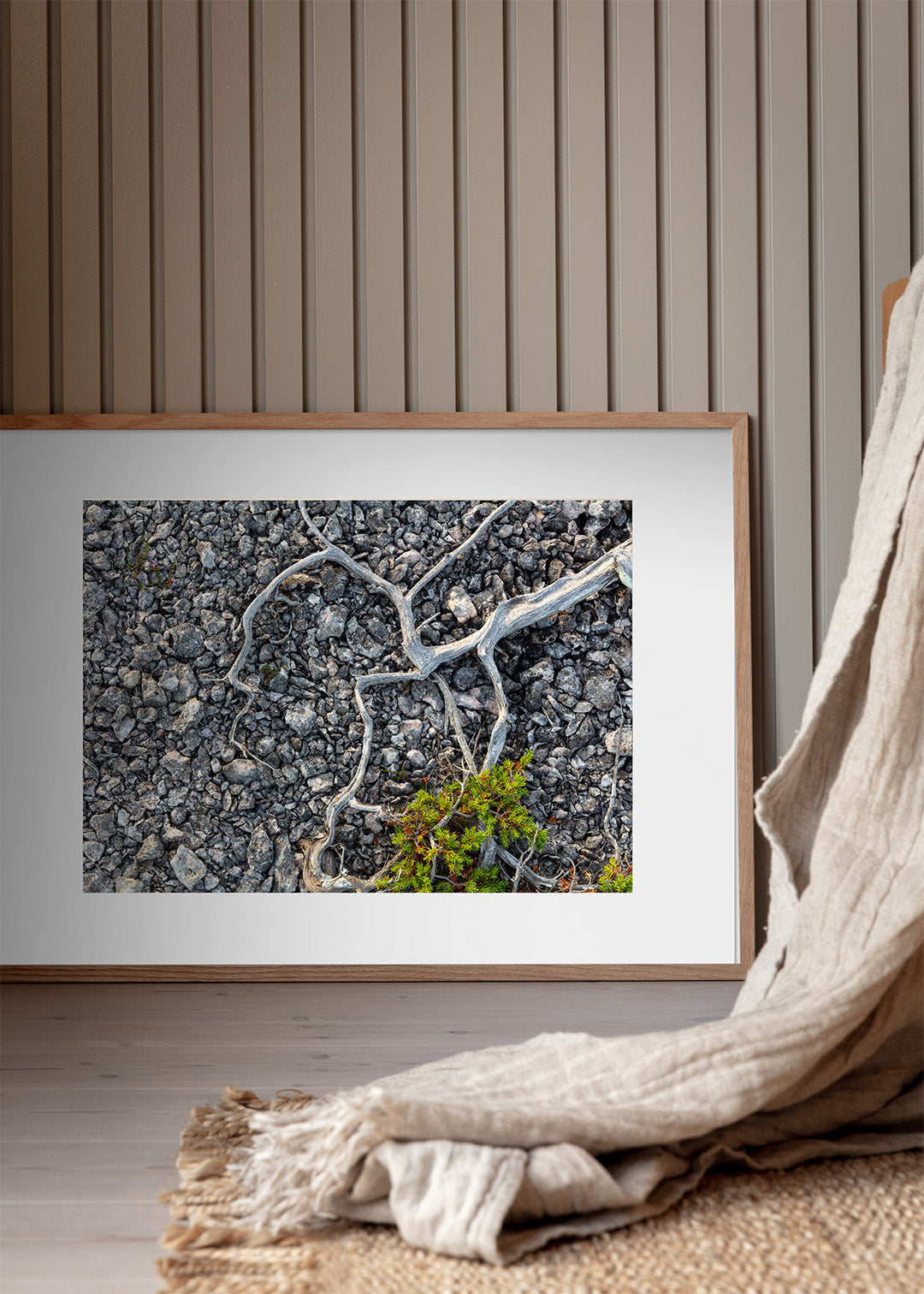 Forvitrede grene over lys kalksten – naturplakat fra Gotland, foto Martin Bay