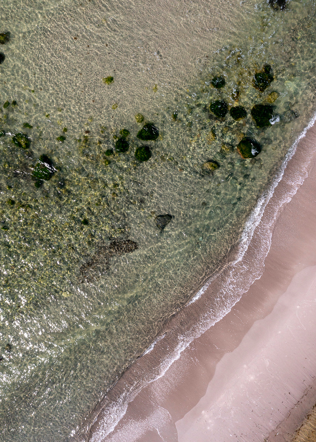 Sandstrand og klart vand ved Gotlands kyst