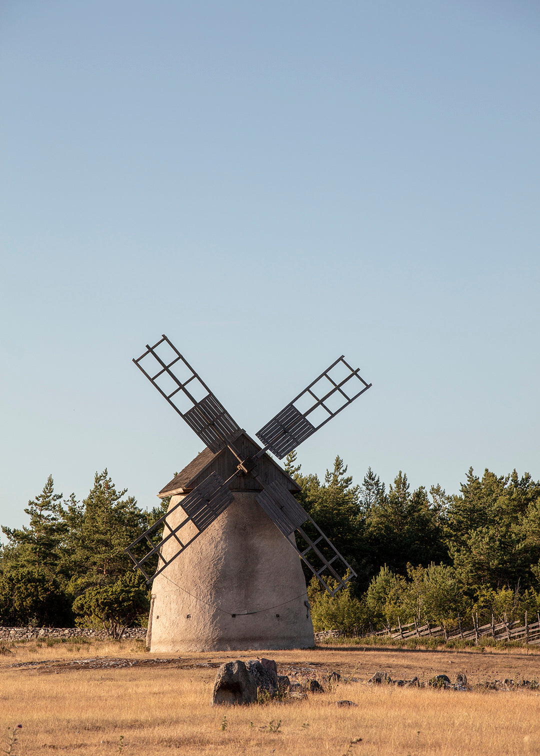 Fotografi af klassisk mølle på Gotland omgivet af gyldne marker og blå himmel.