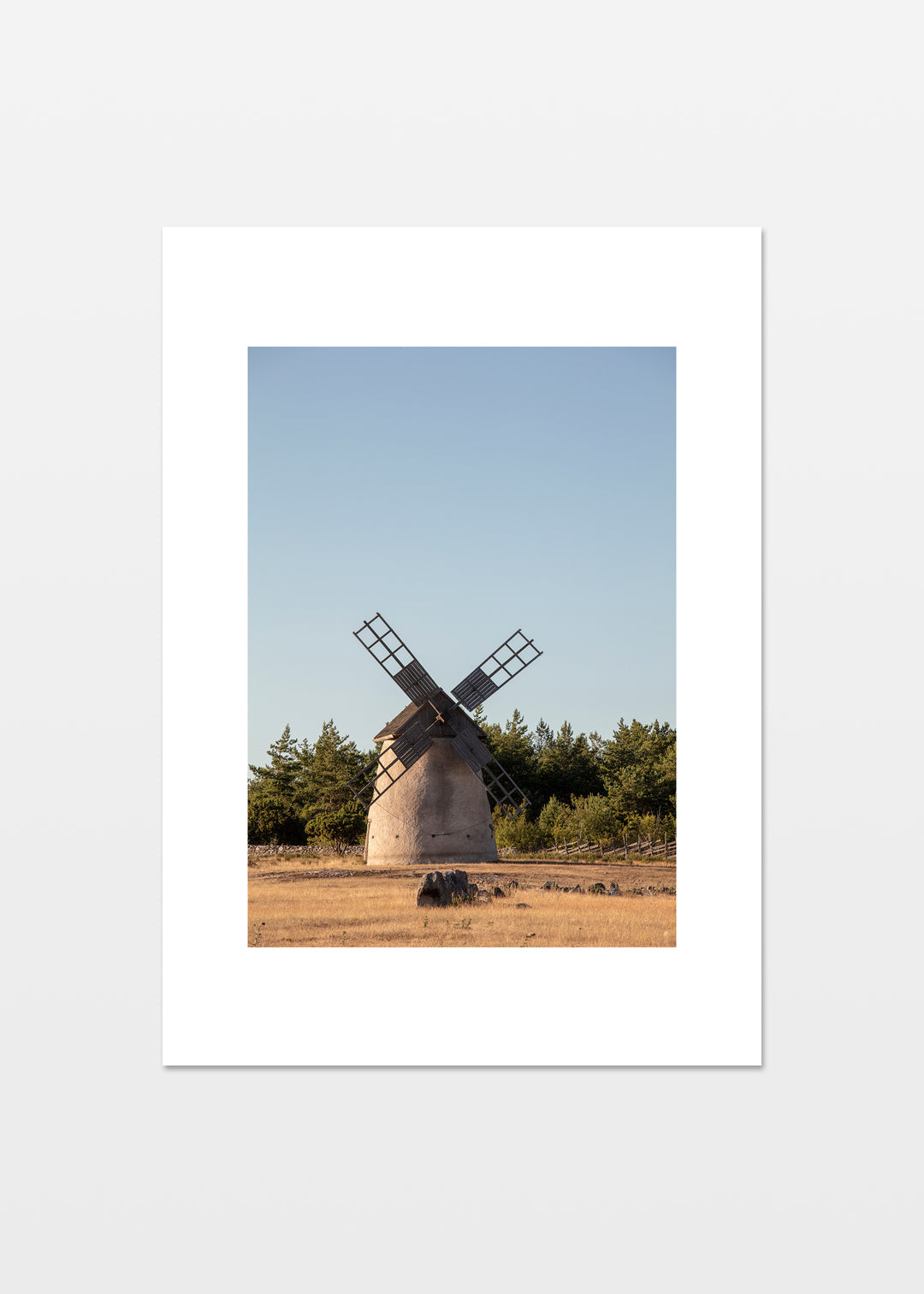 Plakat af klassisk mølle på Gotland omgivet af gyldne marker og blå himmel.