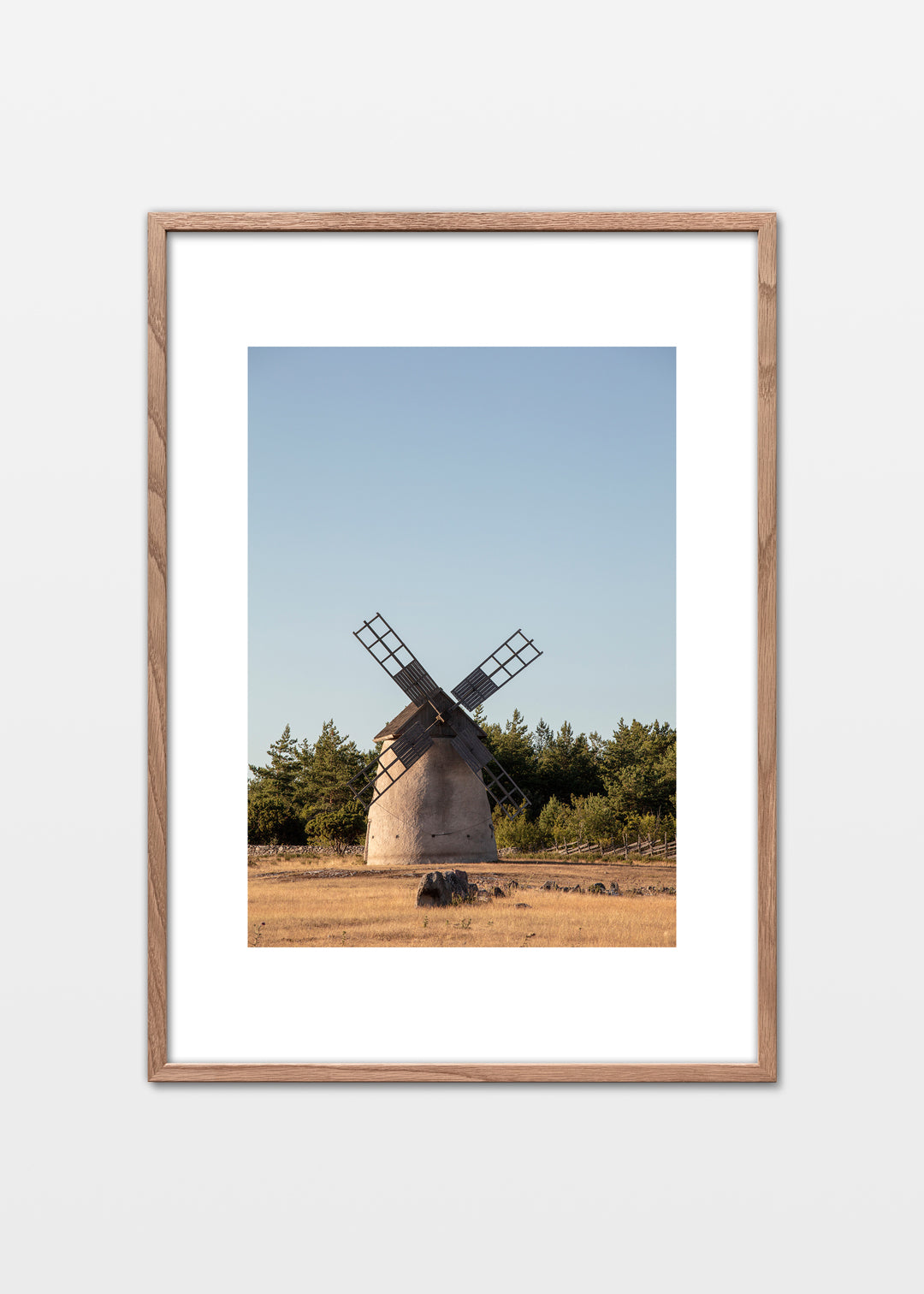 Plakat af klassisk mølle på Gotland omgivet af gyldne marker og blå himmel.