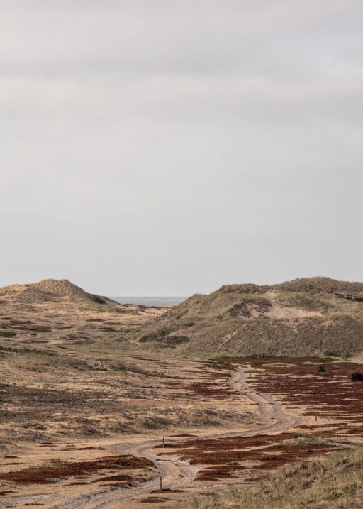 Fotografi af ørkenen på Anholt